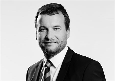 Pavel Ryba, ekonom a odbornk na investice