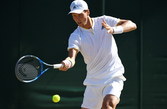 Tomá Berdych doel ve Wimbledonu do semifinále. Pidá jet dalí krok? 