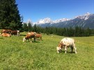 Horské túry nabízejí dechberoucí panoramata i uklidující pohled na pasoucí se...