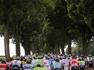 Cyklisté pod baldachýnem strom ve tetí etap Tour de France.