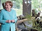 Nmecká kancléka Angela Merkelová u nového výbhu pro dv pandy v berlínské...