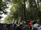 Cyklistická Tour de France projela i lucemburskými lesy.