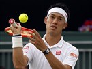 Japonec Kei Niikori po vítzném zápase v prvním kole Wimbledonu.