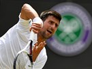 Novak Djokovi v utkání 2. kola Wimbledonu proti Adamu Pavláskovi