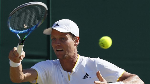 Tom Berdych bhem tetho kola Wimbledonu.