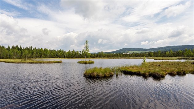 Chalupsk sla. V okol jednoho z nejznmjch mst umavy se pevadi asto pohybovali.