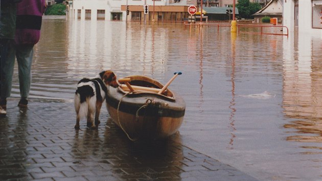 Pes a člun při povodni v roce 1997 v Ústí nad Orlicí.