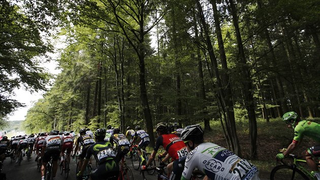 Cyklistick Tour de France projela i lucemburskmi lesy.