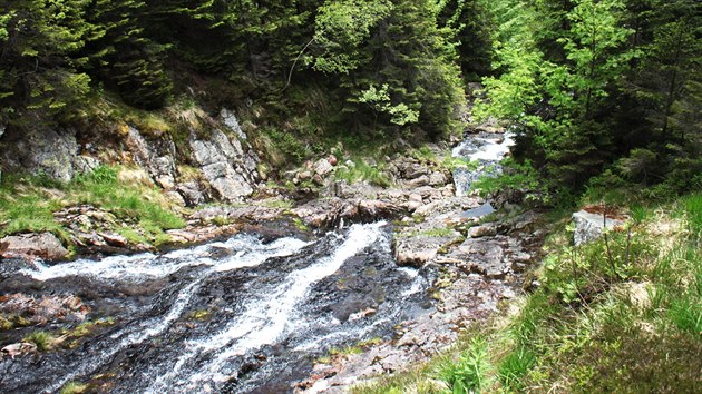 Dolní Úpský vodopád měří 45 metrů a jde o kaskádovou soustava. Jeho průtok je asi 80 litrů za sekundu.
