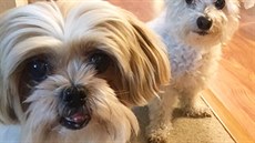 Hromadné fotografie? ádný problém.