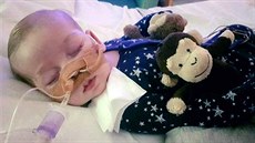 Jedenáctimsíní Charlie Gard trpící nevyléitelným syndromem mitochondriálního...