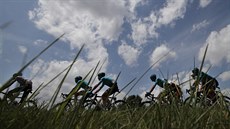 Jezdci ze stáje Astana bhem sedmé etapy Tour de France