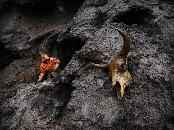 Hledai mamutích ostatk v sibiském Jakutsku 