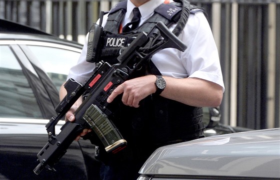 Ilustra�ní snímek