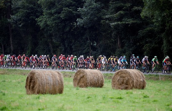 Momentka z dvanácté etapy Tour de France.