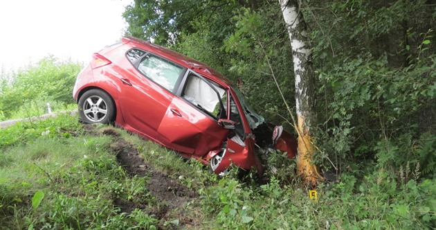 Seniorka narazila s vozem Hyundai i20 do stromu. Nkolik hodin po nehod...