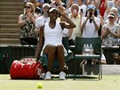 ODPOINEK. Venus Williamsová bhem semifinále Wimbledonu s Johannou Kontaovou.