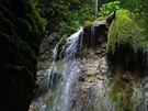 Mechový vodopád v Malém Kyseli