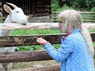 MOJE ROZMARNÉ LÉTO - Zuberec - Muzeum Oravskej Dediny