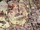 Míjející tajnosti a decor, Jean Dubuffet, 1955