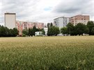Olomouck sdlit v mstsk sti Lazce 20 let po povodni - ervenec 2017