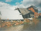 Z olomouckých mstských ástí poniila povode v roce 1997 nejvíce ernovír. Na...
