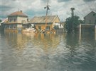 Z olomouckých mstských ástí poniila povode v roce 1997 nejvíce ernovír. Na...