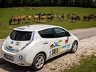 Nvtvnci safari ve Dvoe Krlov si mohou zdarma pjit elektromobil.