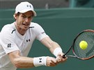 Brit Andy Murray zahrává úder ve tvrtém kole Wimbledonu proti Francouzi...