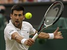 Srb Novak Djokovic v osmifinále Wimbledonu.