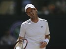 Brit Andy Murray ve tvrtfinále Wimbledonu. Netváí se naden.