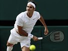 Roger Federer v semifinále Wimbledonu
