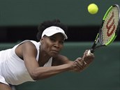 TAM DOSHNU. Venus Williamsov se natahuje po bekhendu v semifinle Wimbledonu...