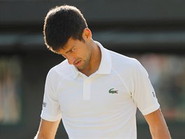 NEJDE TO. Novak Djokovi vzdv ve tvrtfinle Wimbledonu.