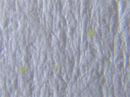 Vzorek 2 - foto pod mikroskopem