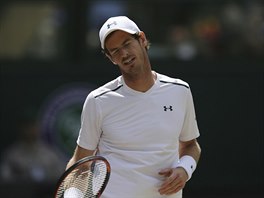 Brit Andy Murray ve tvrtfinle Wimbledonu. Netv se naden.