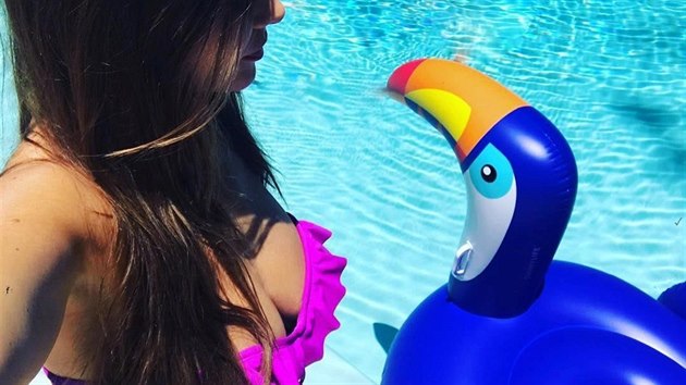 Hereka Sofia Vergara m radji barvy: na Instagramu se podlila o fotku fuchsiovch plavek s volnky i svch pednost. A samozejm barevnho nafukovacho lehtka.