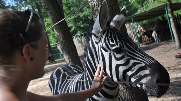 Berouskův zoopark v Doksech je oblíbeným místem rodinných výletů, většinu zvířat je možné si pohladit.