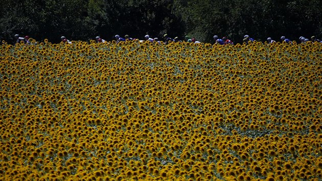 Momentka ze trnct etapy Tour de France.