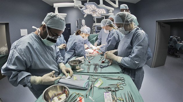 V Plzni se kon Letn kola experimentln chirurgie. Medikm slou jako studijn materil prasata domc. (10. ervence 2017)