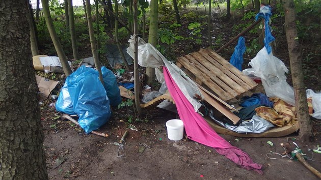 Pracovnci klidov firmy v doprovodu strnk uklidili hromady odpadk z tboit bezdomovc za nkupnm centrem Plaza v Plzni. (18. ervence 2017)
