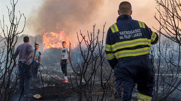 Lesn por nedaleko chorvatskho Zadaru (16. ervence 2017).