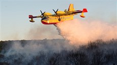 Lesní poár nedaleko chorvatského Zadaru (16. ervence 2017).