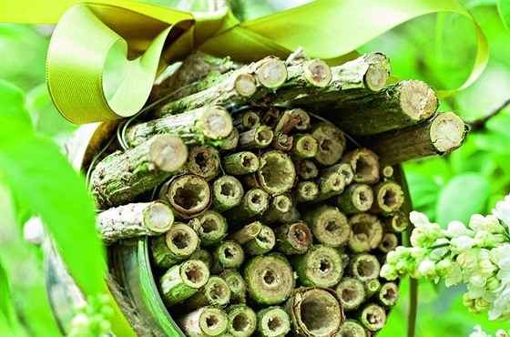 Domek pro včely samotářky z bezových větviček