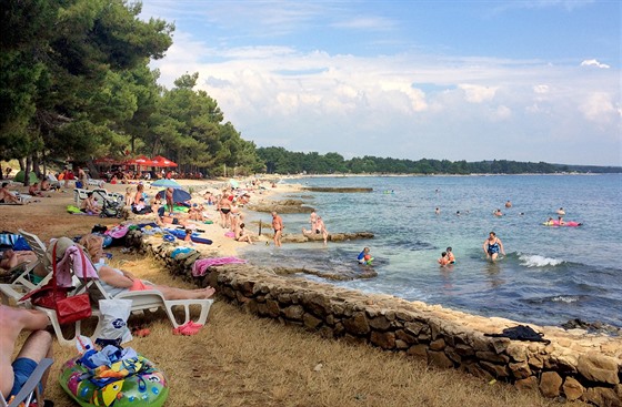 Rovinj - pl Kuvi, jedna z nejpjemnjch pl v parku Zlatni rt