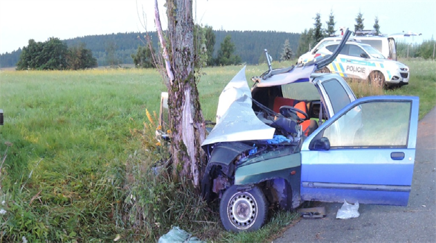 V ned�li nad ránem auto narazilo do stromu na Liberecku, na míst� zem�el...