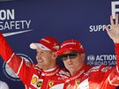 Vítzové kvalifikace na Velkou cenu Maarska a týmoví paráci Sebastian Vettel...