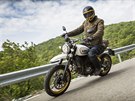 Ducati Scrambler Desert Sled