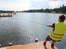 Nové molo na Kamencovém jezeře je složené z dílců, které bude možné dle libosti...