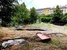Praha 25.7.2017 Dtsk ostrov je prask vltavsk ostrov,  na katastru Smchova...